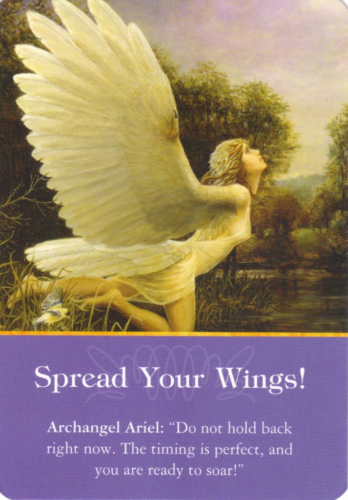 Ariel-Spread-Your-Wings